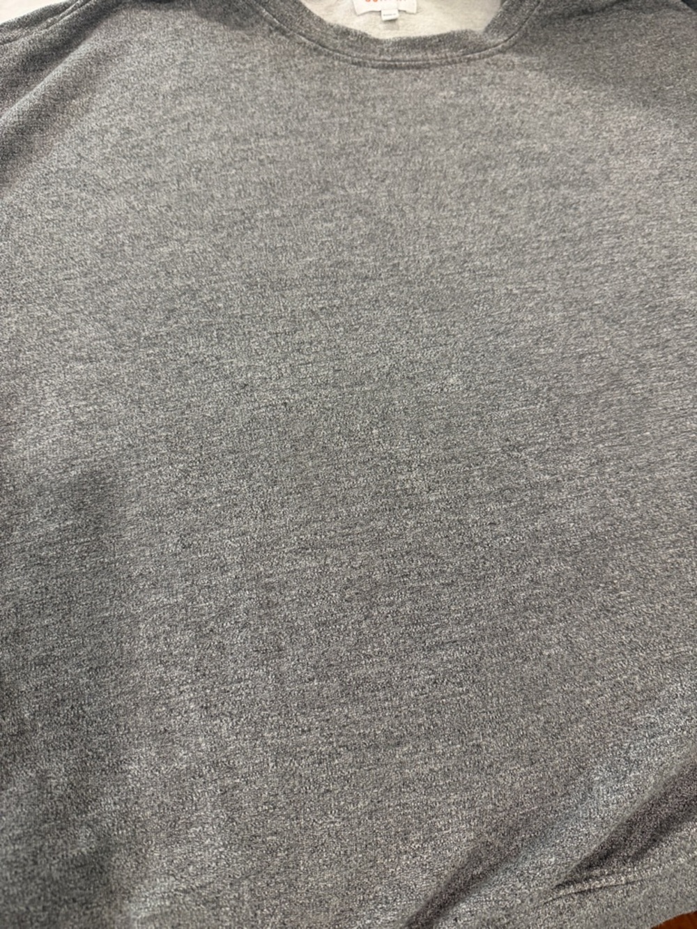 Sundry Gray Crewneck Sweater with Navy and Red Sleeve Stripes - Picture 2 of 4